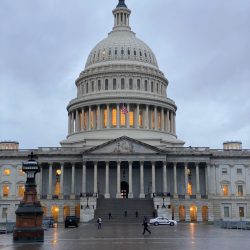 Type of legislative body crossword