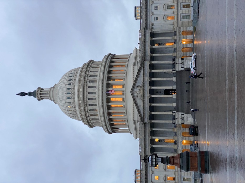 Type of legislative body crossword