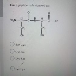 This dipeptide is designated as