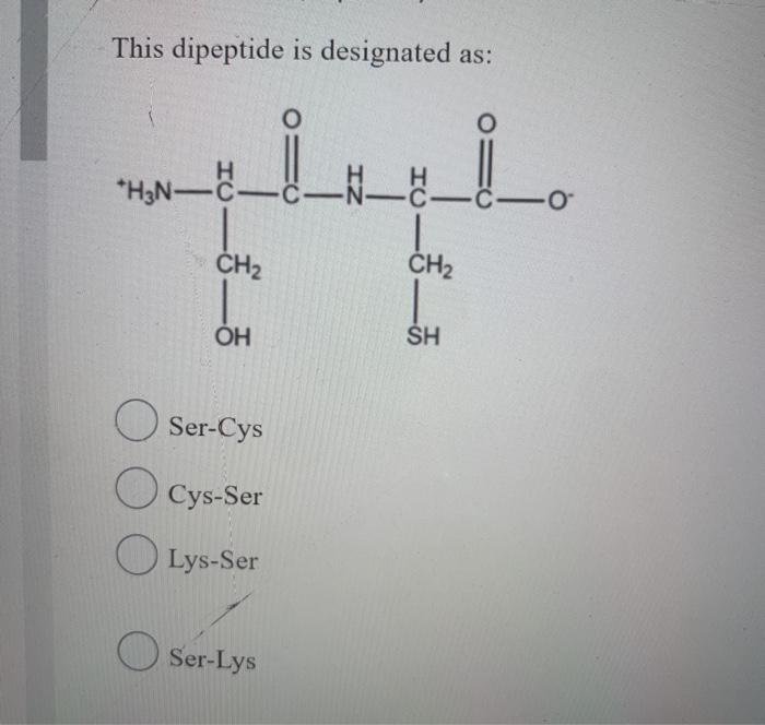 This dipeptide is designated as