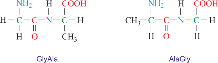 Dipeptide designated cys lys ch2 cnh h3n