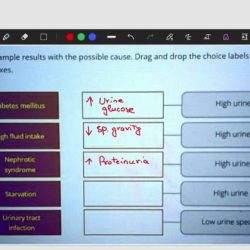 Drag and drop the behaviors against the corresponding team competencies.