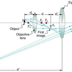 Microscopy electron light microscopes use focus lenses figure tem through specimen microscope lens microbiology source objective beam ocular work beams