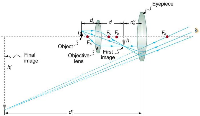 Microscopy electron light microscopes use focus lenses figure tem through specimen microscope lens microbiology source objective beam ocular work beams