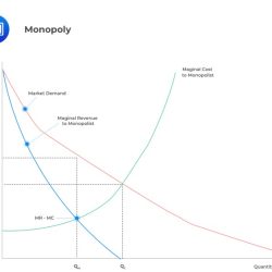 Marginal analysis and consumer choice- micro topic 1.6